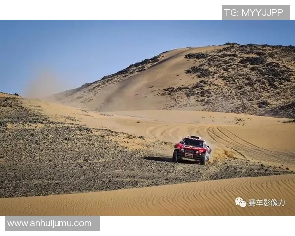 达克尔野与瓦迪的精彩对决分析与战术探讨